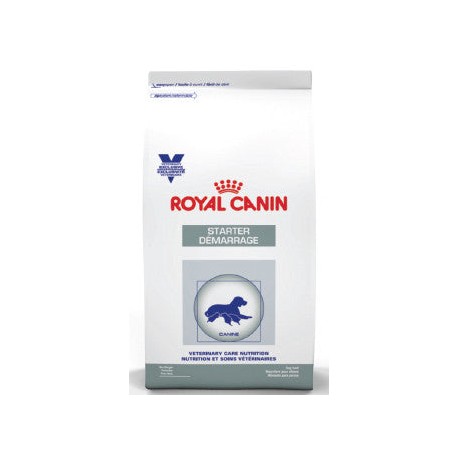 Alimento Royal Canin Starter Para Perro Raza Mediana 4kg