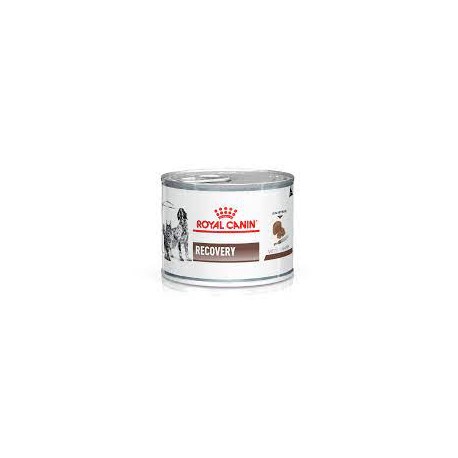 Alimento Royal Canin Recovery Para Perro y Gato Lata 145g