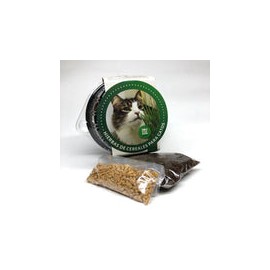 Pasto Rutina Verde Trigo Para Gatos 30g