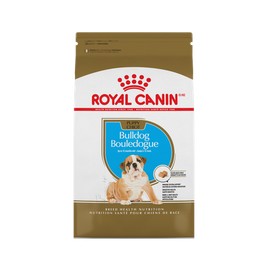Alimento Royal Canin BHN Bulldog Inglés Puppy 2.