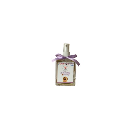 Perfume DoGift Aroma Baby Para Cachorro 120ml