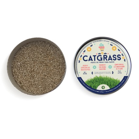 Pasto Catgrass de Trigo Para Gato 150g