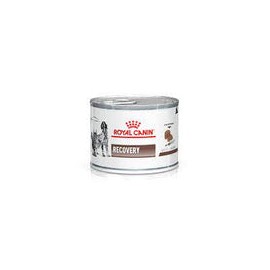 Alimento Royal Canin Recovery Para Perro y Gato Lata 145g